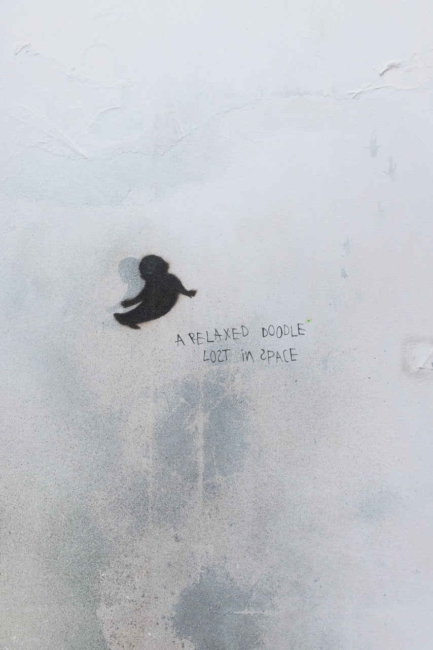 Existential Mission - Verlin