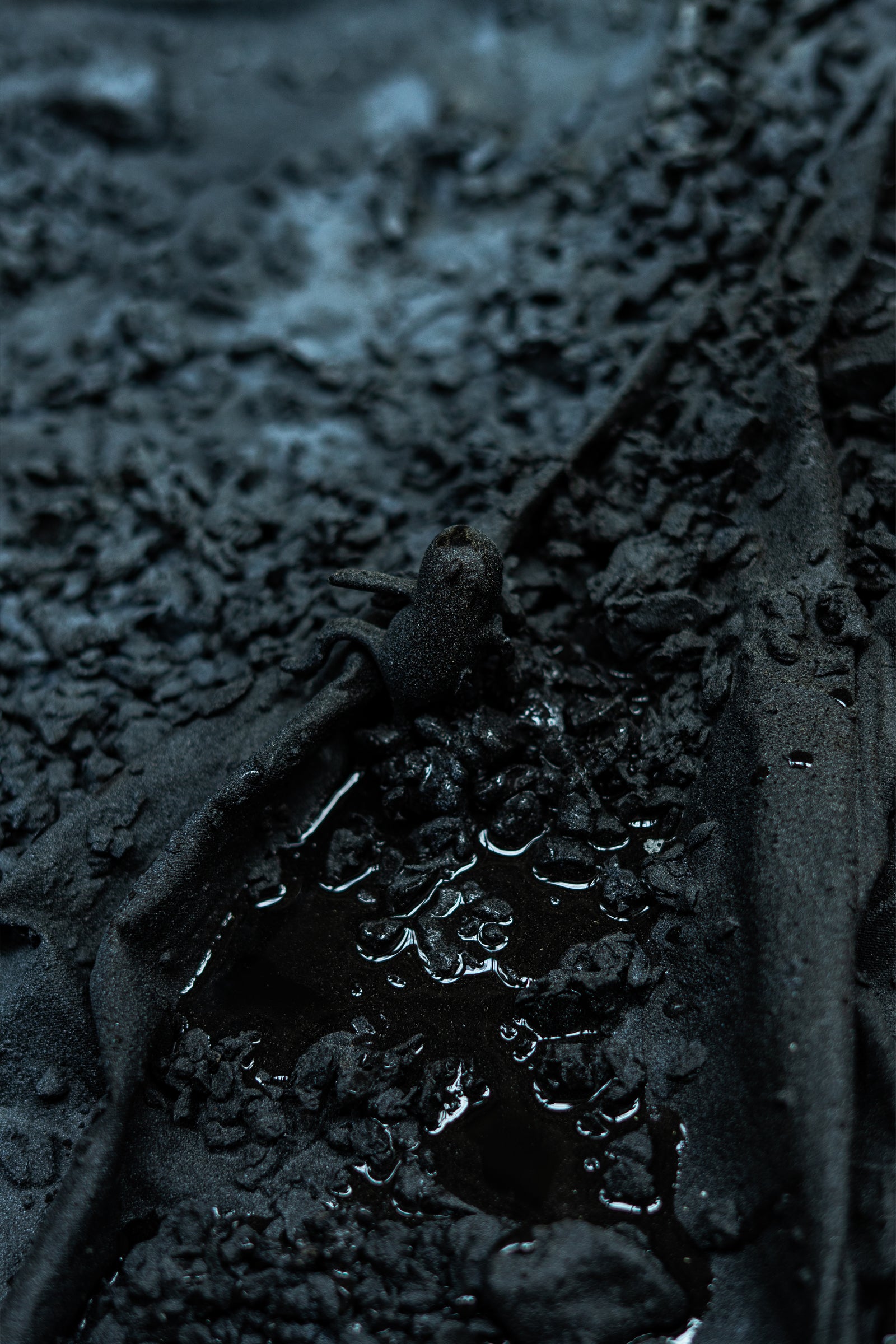 A step towards the unknown