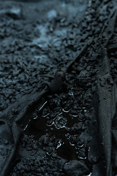 A step towards the unknown