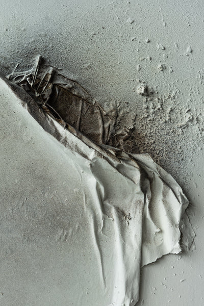 Squishy burnout (diptych)