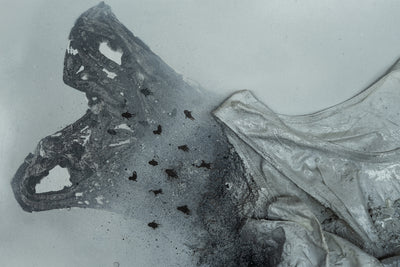 Interviewing the interviewer