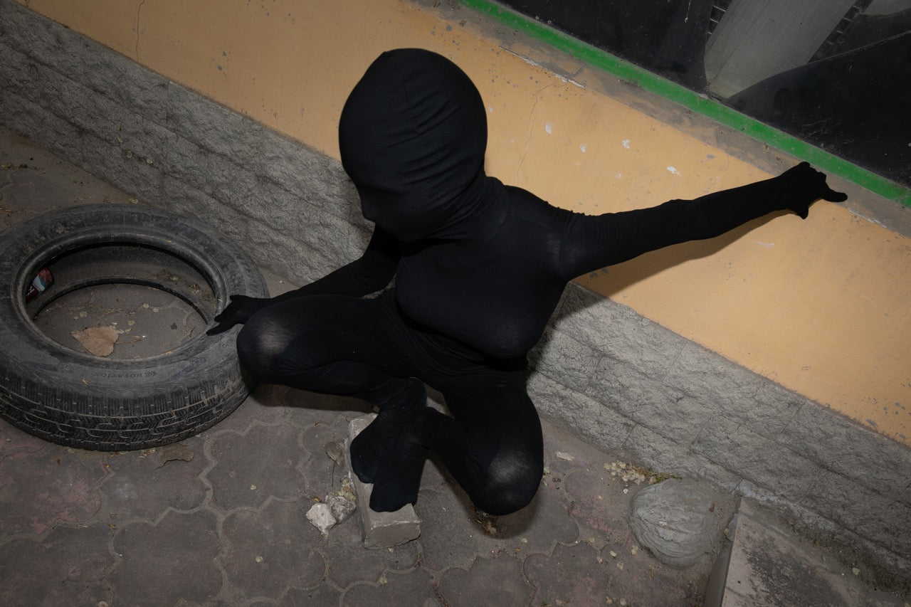 INTRUDER NESTING, 2025. Photo by Daniel Bilici.