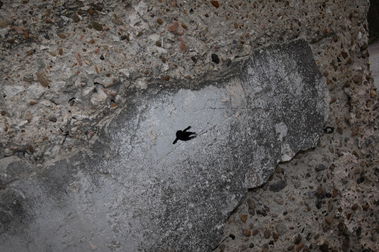 THE TRACE, 2025. Photo by Daniel Bilici.