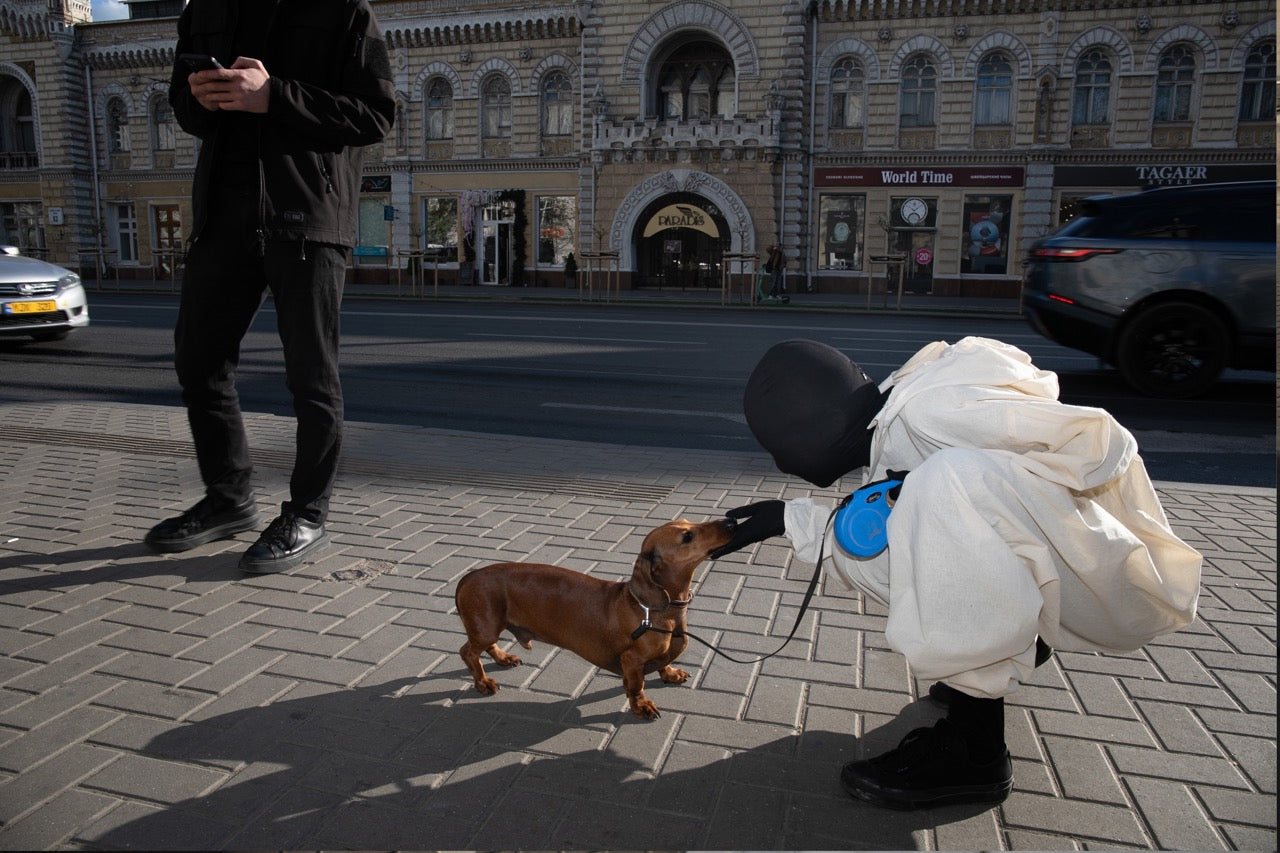 THE DOG KNEW BETTER, 2025. Photo by Daniel Bilici.