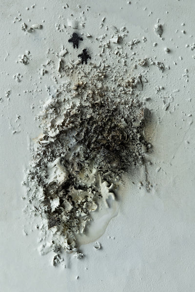 Pentaptych — Sheer nonsense