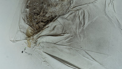 Triptych — Silent breakdown